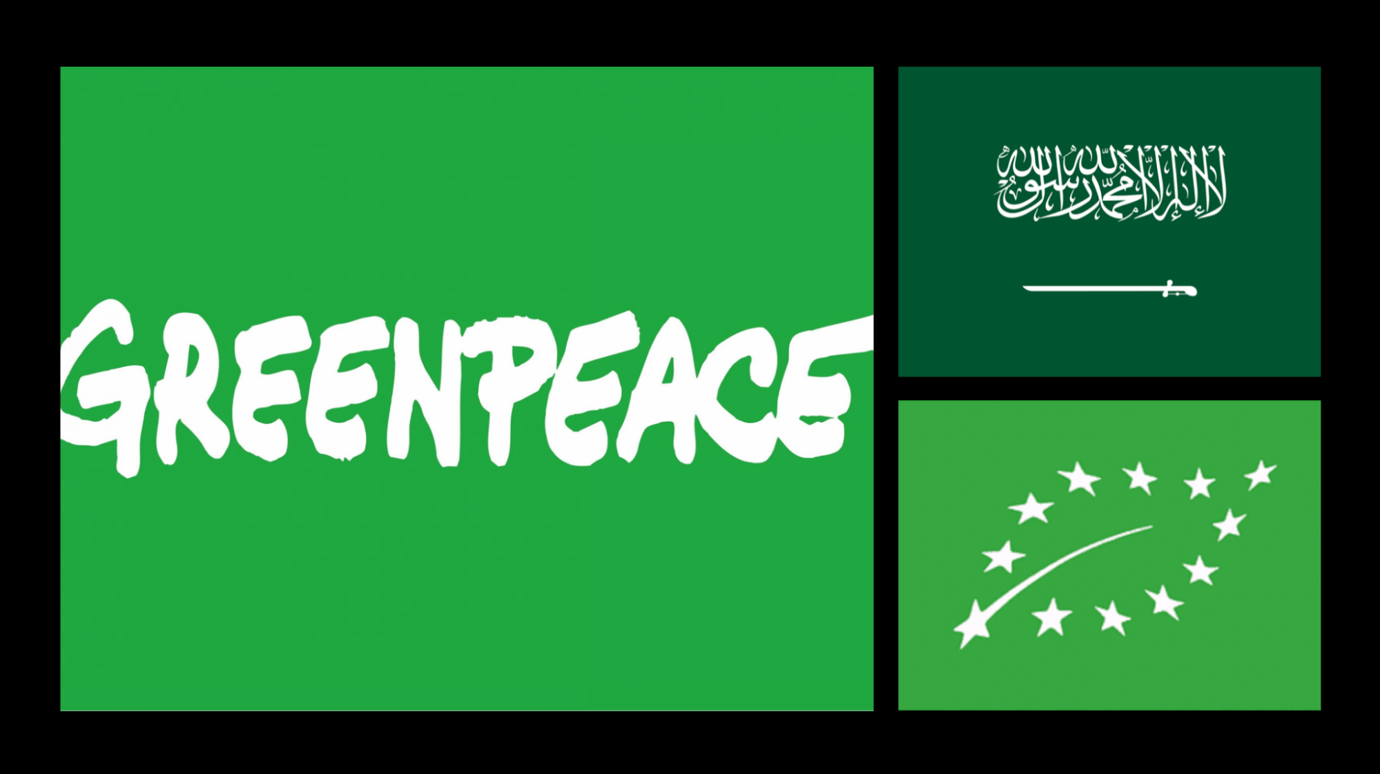 Image removed.