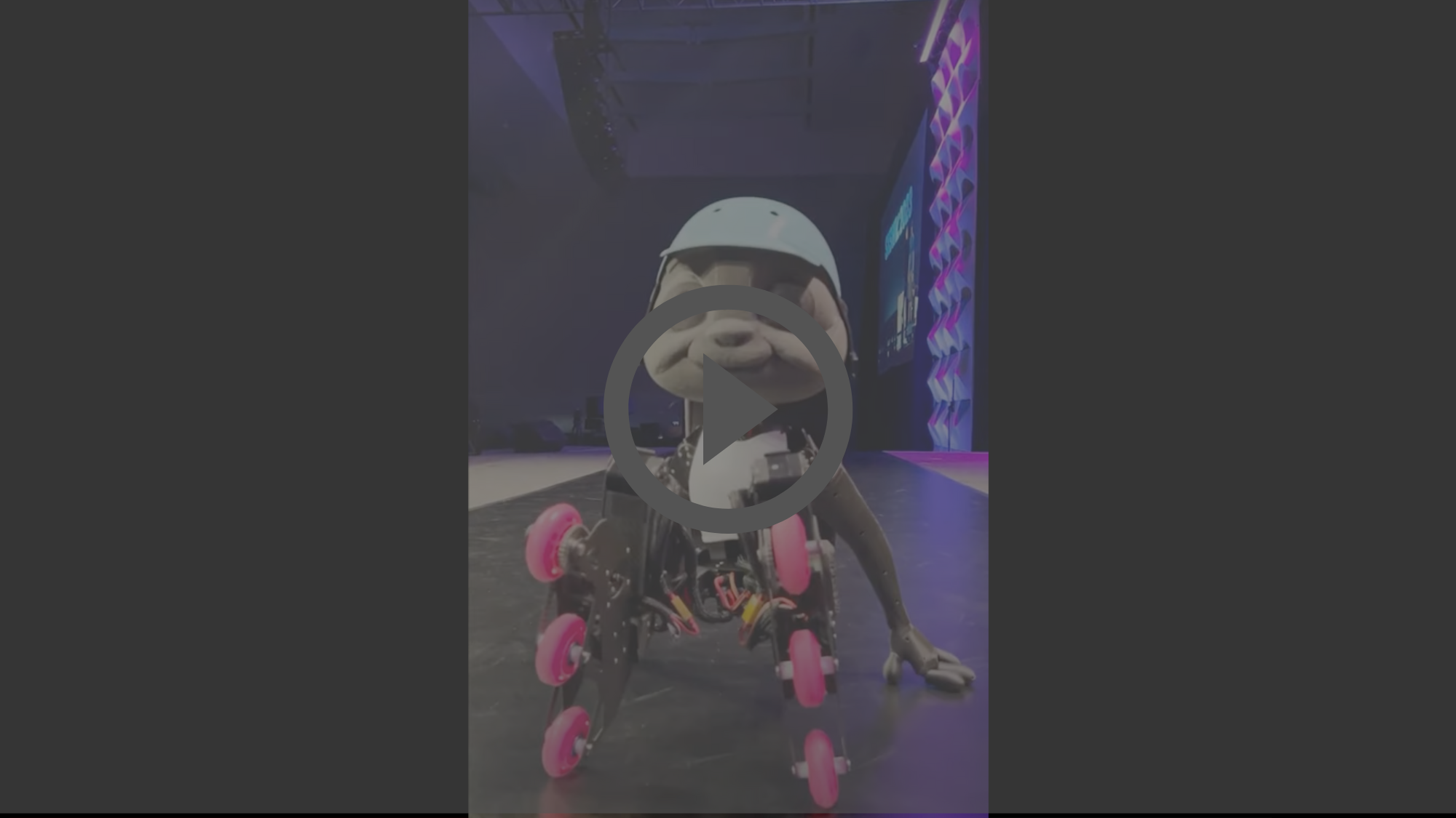 This image has been removed. For security reasons, only images from the local domain are allowed. Image removed.