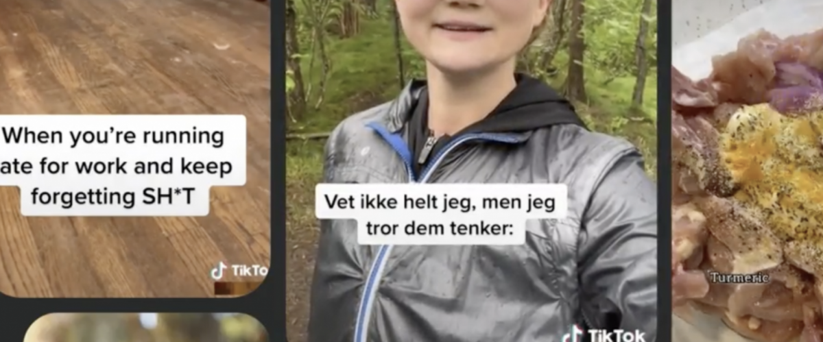 TikTok rabbit holes